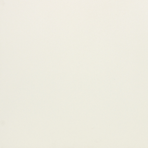 P60100