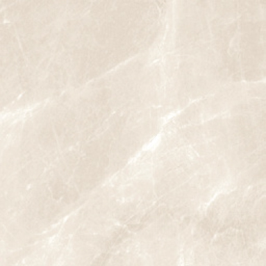 CMP4443P